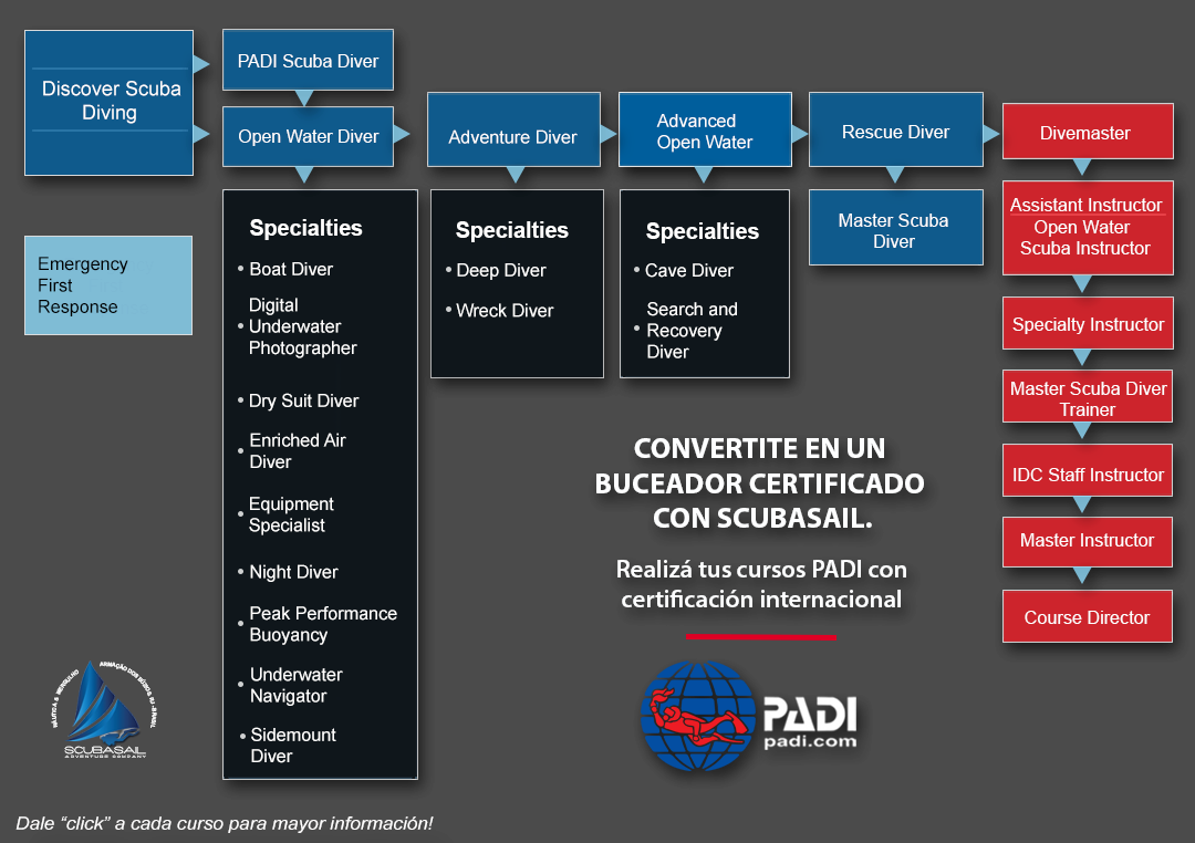 PADI Flow Chart